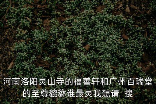 河南洛陽靈山寺的福善軒和廣州百瑞堂的至尊貔貅誰最靈我想請  搜