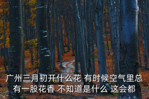 廣州三月江邊什么花長啥樣，廣州三月初開什么花 有時候空氣里總有一股花香 不知道是什么 這會都