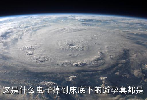 地虱，地虱子是長在什么環(huán)境里的