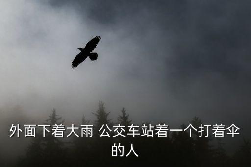 外面下著大雨 公交車站著一個打著傘的人