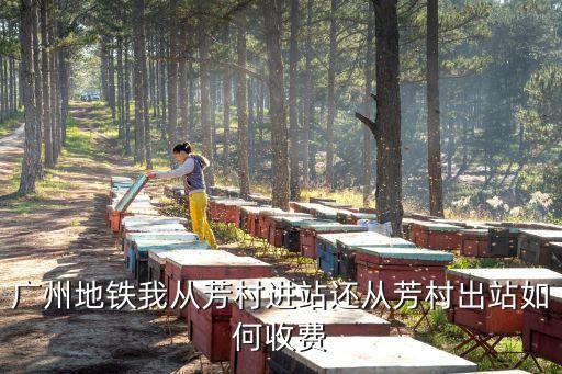 廣州地鐵我從芳村進(jìn)站還從芳村出站如何收費(fèi)