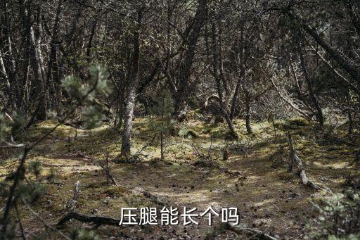 壓腿可以長(zhǎng)高嗎，壓腿能長(zhǎng)個(gè)嗎
