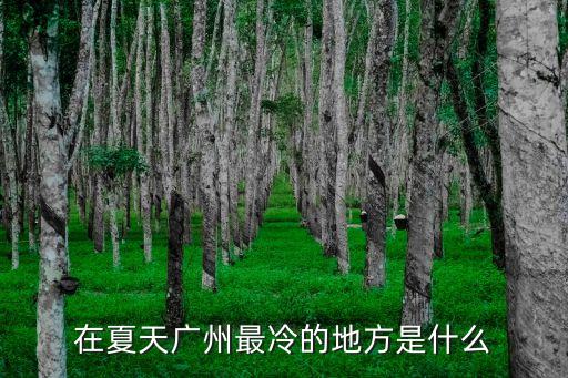 廣州哪個景區最冷，廣州的哪個地方最冷
