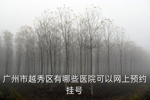 廣州114預約掛號網，114可以掛到廣東省中醫院專家的號嗎