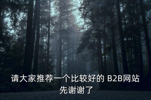 請大家推薦一個(gè)比較好的 B2B網(wǎng)站 先謝謝了