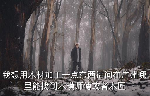 我想用木材加工一點東西請問在廣州哪里能找到木模師傅或者木匠