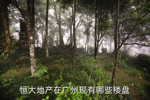 恒大地產(chǎn)在廣州現(xiàn)有哪些樓盤