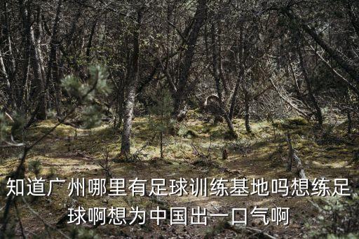 知道廣州哪里有足球訓練基地嗎想練足球啊想為中國出一口氣啊