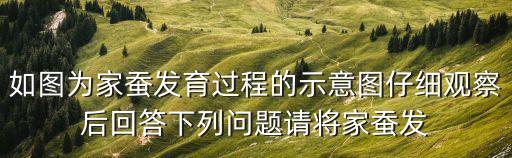 如圖為家蠶發育過程的示意圖仔細觀察后回答下列問題請將家蠶發