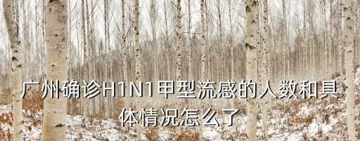 廣州確診H1N1甲型流感的人數(shù)和具體情況怎么了