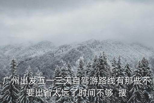 廣州自駕車不出省，請問外地車牌小車可以入廣州市區嗎想自駕車去廣州