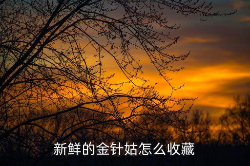 新鮮的金針姑怎么收藏