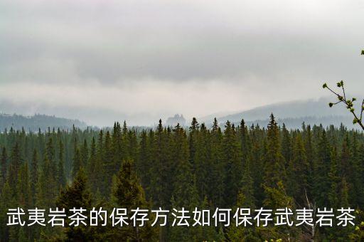 武夷巖茶的保存方法如何保存武夷巖茶