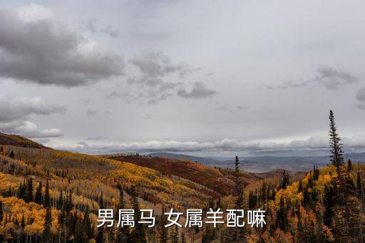 男屬馬 女屬羊配嘛