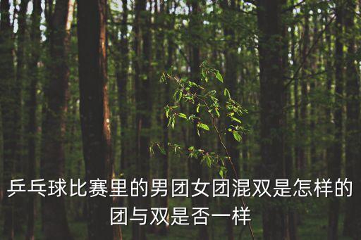 乒乓球比賽里的男團(tuán)女團(tuán)混雙是怎樣的團(tuán)與雙是否一樣