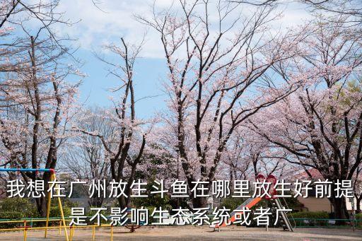 我想在廣州放生斗魚在哪里放生好前提是不影響生態系統或者廣