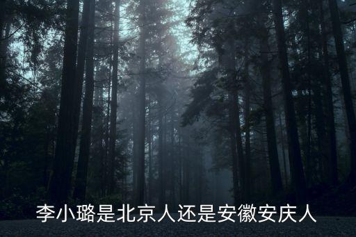 李小璐個(gè)人資料，李小璐是北京人還是安徽安慶人