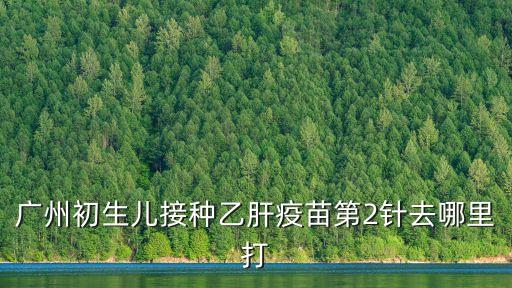 廣州第二針去哪里預約，在廣州那里可以打甲乙肝疫苗該打第二針醫生說3月3號打但是