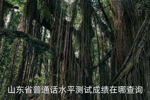 普通話考試查詢，普通話等級考試成績怎么查詢啊