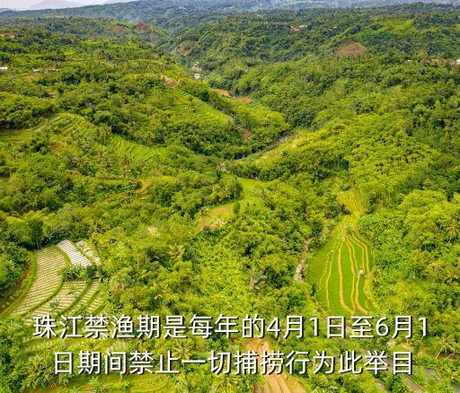 廣州珠江禁漁工具，珠江里面象小塔一樣?xùn)|西是什么