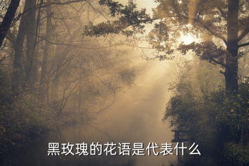 黑玫瑰的花語是代表什么