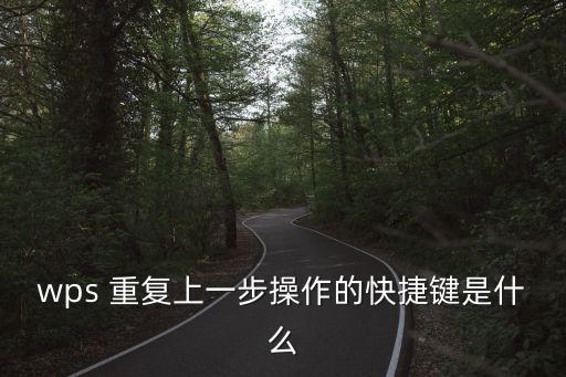 wps快捷鍵，wps打印預(yù)覽快捷鍵