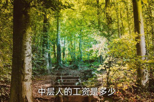 中層人的工資是多少