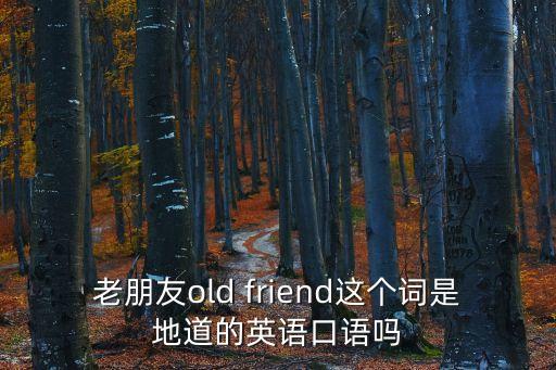 老朋友old friend這個詞是地道的英語口語嗎