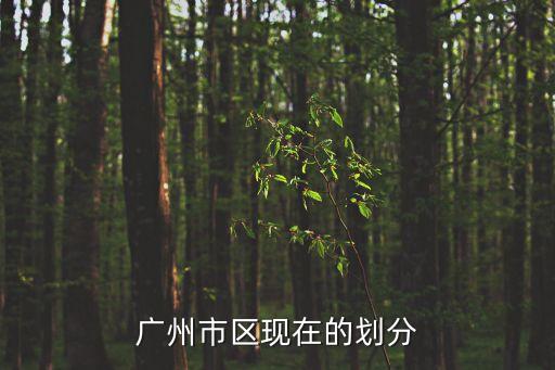 廣州老城區新城區怎么分的，廣州區域劃分