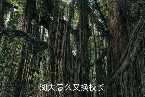 湖南大學校長，湖大怎么又換校長