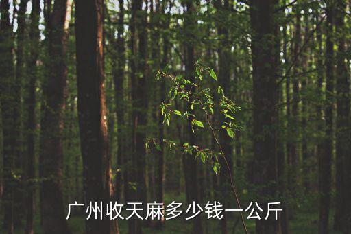 廣州收天麻多少錢一公斤