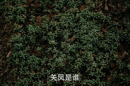 關鳳是誰