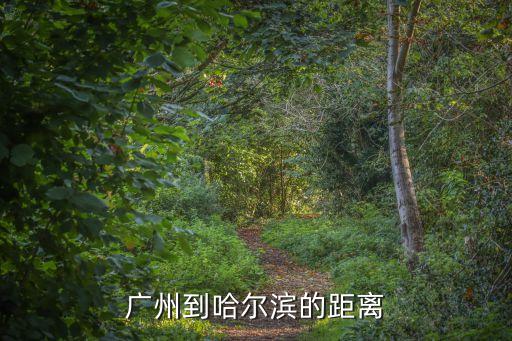 廣州至哈爾濱公路多少公里，廣州到哈爾濱的距離