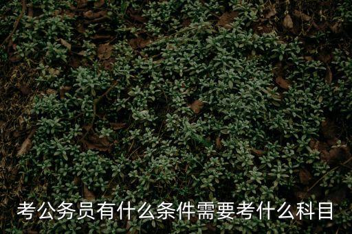 考公務員有什么條件需要考什么科目