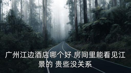 廣州江邊酒店哪個好 房間里能看見江景的 貴些沒關系