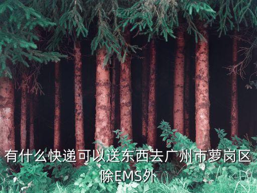 有什么快遞可以送東西去廣州市蘿崗區(qū)除EMS外