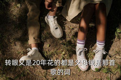 轉眼又是20年花的都是父母錢是那首歌的詞