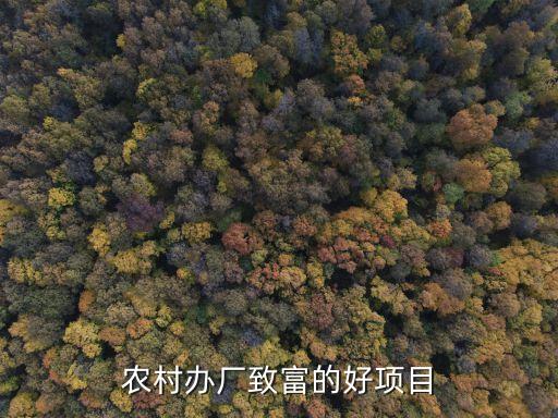 辦廠項(xiàng)目加盟網(wǎng)，加盟易加盟商機(jī)網(wǎng)