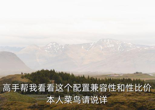 高手幫我看看這個配置兼容性和性比價本人菜鳥請說詳