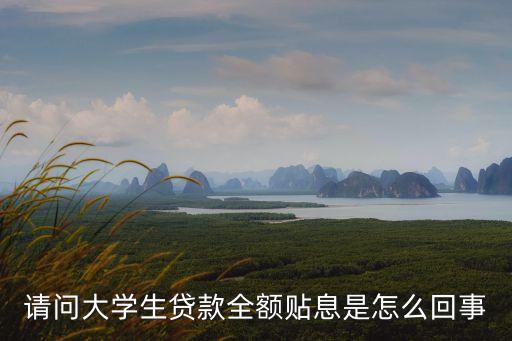 請(qǐng)問大學(xué)生貸款全額貼息是怎么回事