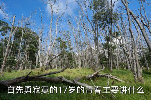 寂寞的十七歲，白先勇寂寞的17歲的青春主要講什么