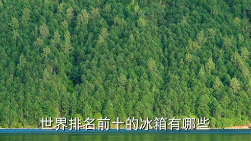 世界排名前十的冰箱有哪些