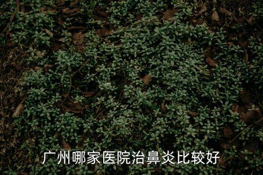 廣州哪家醫(yī)院治鼻炎比較好