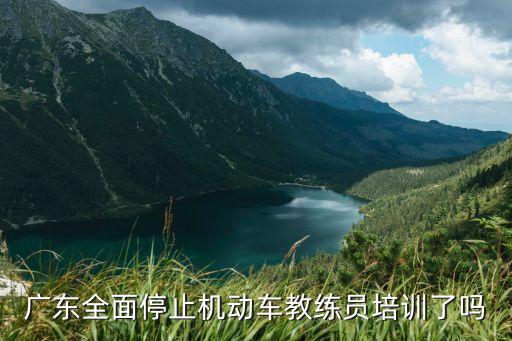 廣州線下培訓班停止，我想請問就是民辦培訓機構場地沒有超過300平方米已經下令停止辦