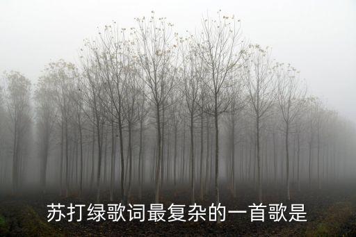 蘇打綠歌詞最復(fù)雜的一首歌是