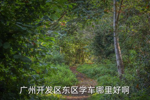 廣州開發區東區學車哪里好啊