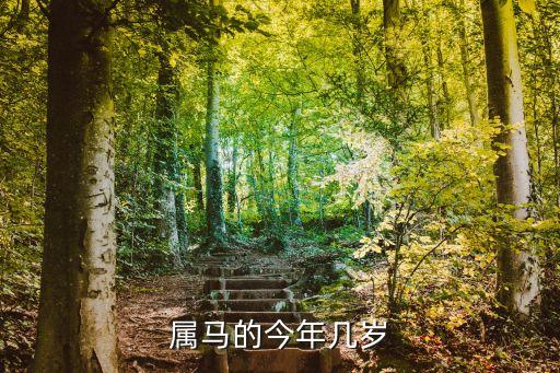 屬馬的多大年齡，屬馬的多少歲
