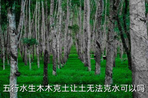 水生木，十二地支子水生木嗎