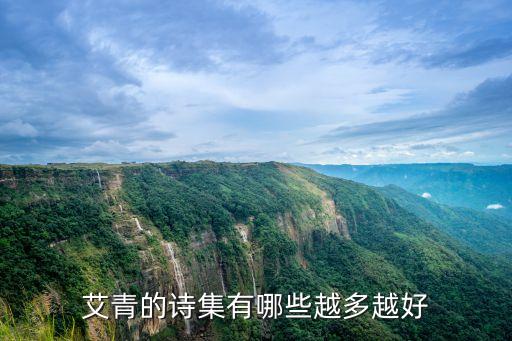 艾青的詩集，艾青 最主要的詩集