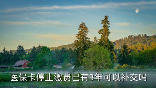 廣州醫保斷繳了3年，醫保卡停止繳費已有3年可以補交嗎